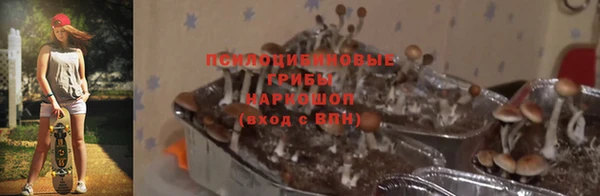 2c-b Новозыбков