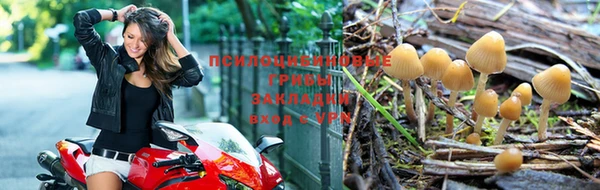 кокаин VHQ Новокубанск